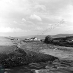 Harwood Beck